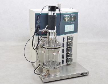 酶一级香蕉视频