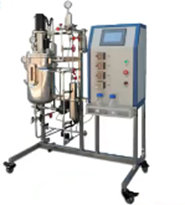 厭氧香蕉视频网页版