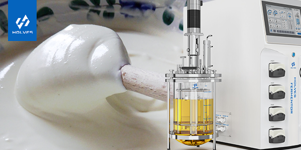 香蕉视频网页版在乳製品生產中的重要意義