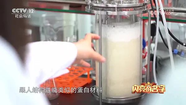 香蕉视频网页版