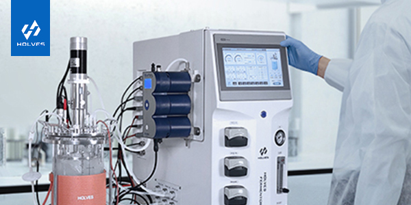 香蕉视频网页版及發酵知識科普