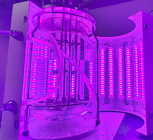 光照一级香蕉视频光照係統