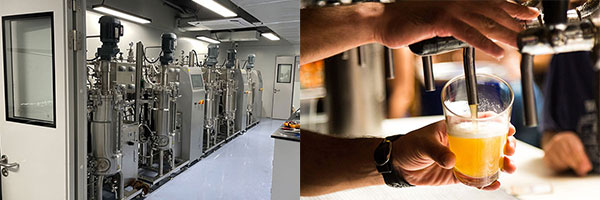 香蕉视频网页版的應用